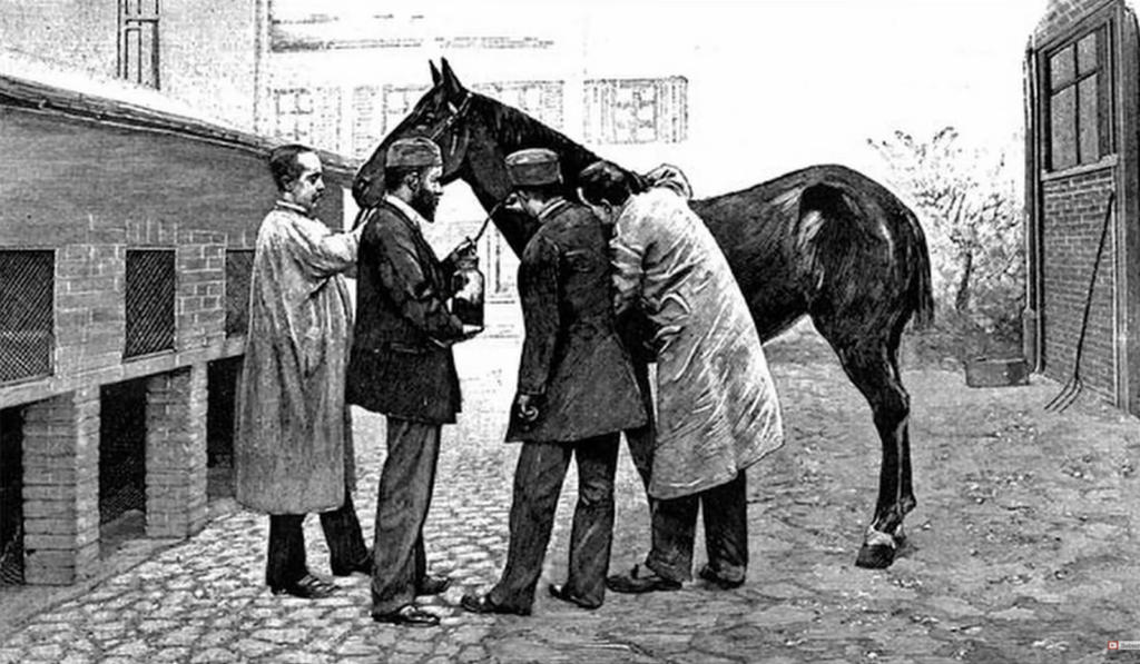 a picture of four men standing on a city street near the horse