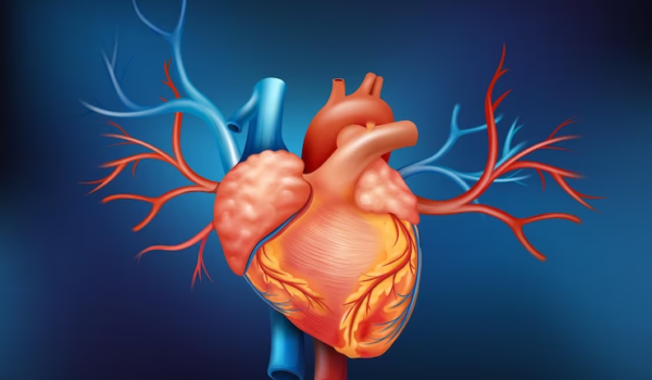 My Heart Stopped Beating: A Story about Resilience